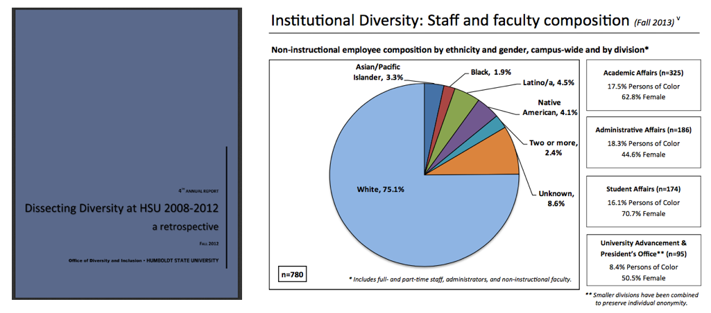 Diversity Reports